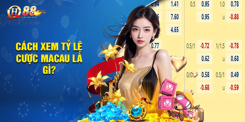Cách xem tỷ lệ cược Macau là gì?