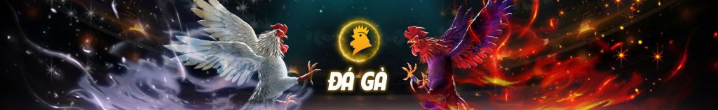 Da-ga-qh88