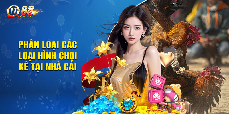 Đá Gà Qh88 - Đấu Trường Chọi Kê Kịch Tính, Hồi Hộp 2 Phân loại các loại hình chọi kê tại nhà cái