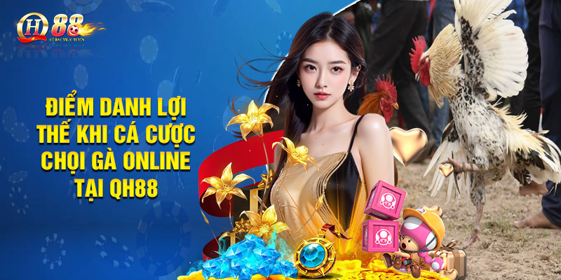 Đá Gà Qh88 - Đấu Trường Chọi Kê Kịch Tính, Hồi Hộp 3 Điểm danh lợi thế khi cá cược chọi gà online tại QH88